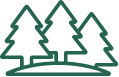 /data/template_custom_fields/21_cs_noun-forest-6603158.png